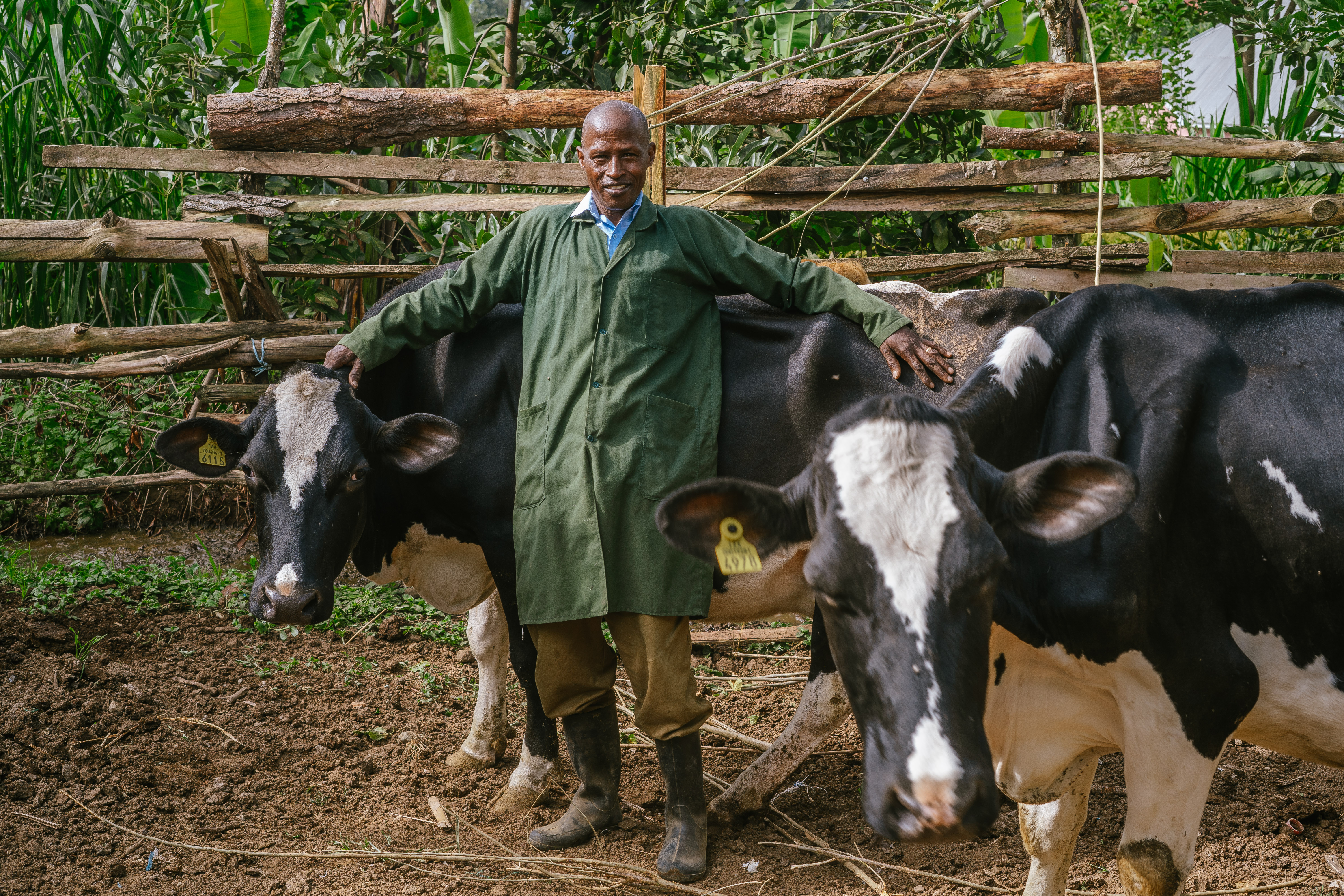 Dairy – Productivity with Purpose