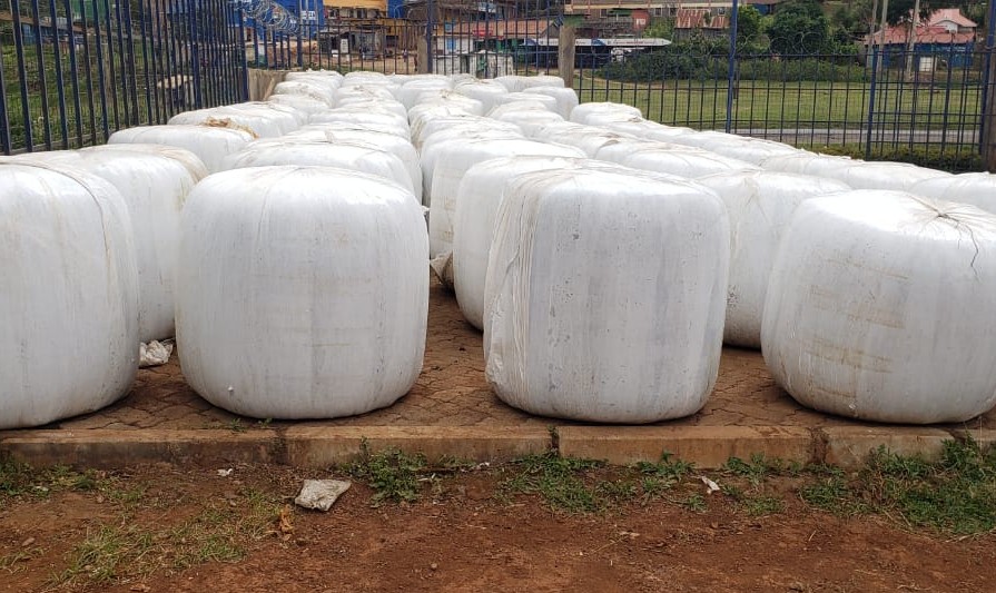 Baled Maize Silage